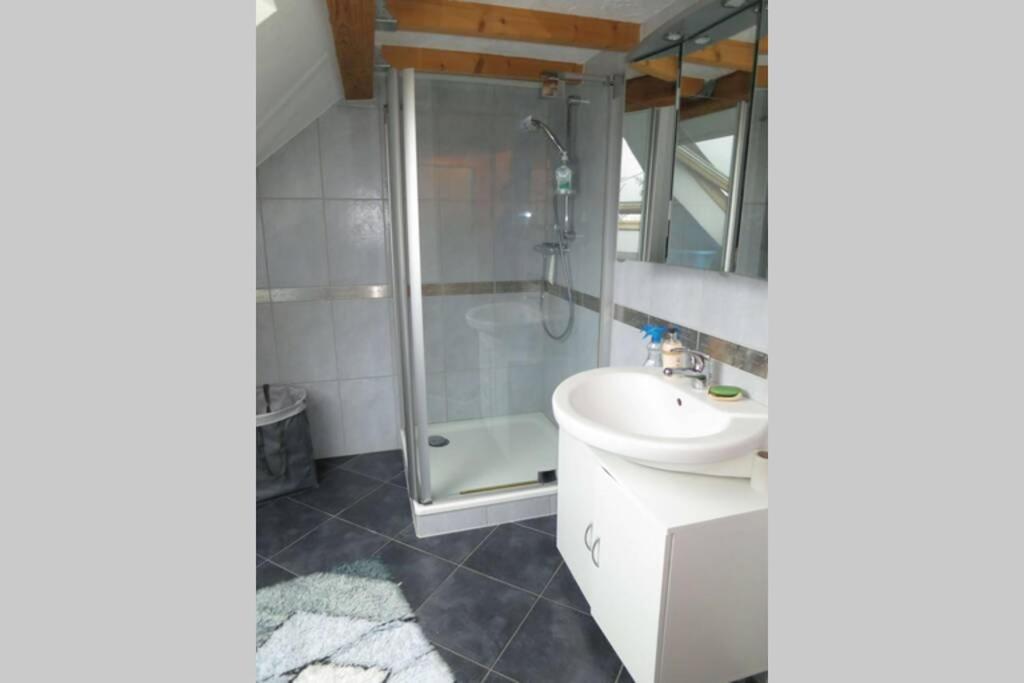 Ferienwohnung Roswitha In Blieskastel Biesingen 外观 照片